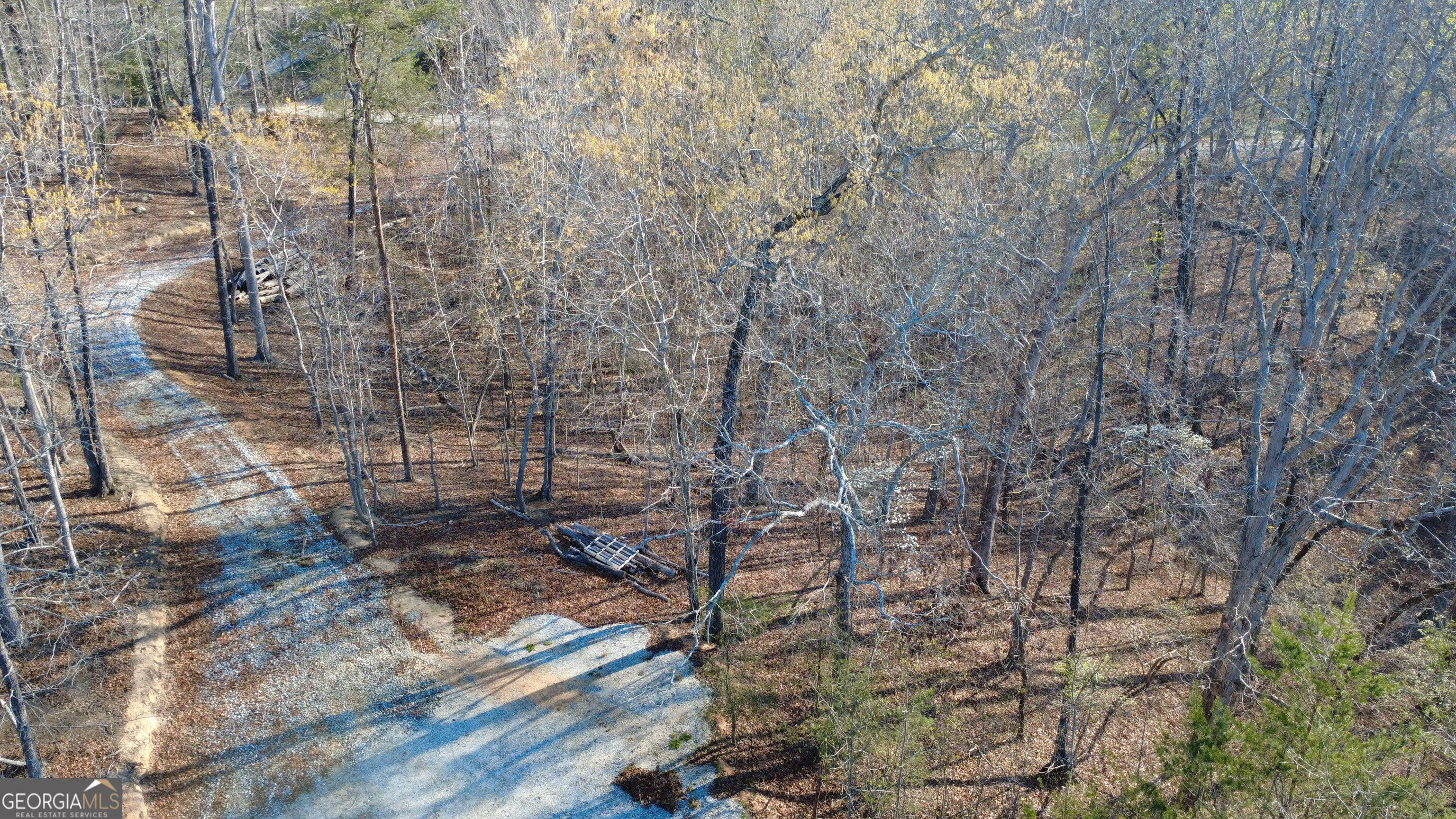 0 Purvis Road Baldwin, GA 30511 - Photo 5 of 14 a view of a backyard of a house