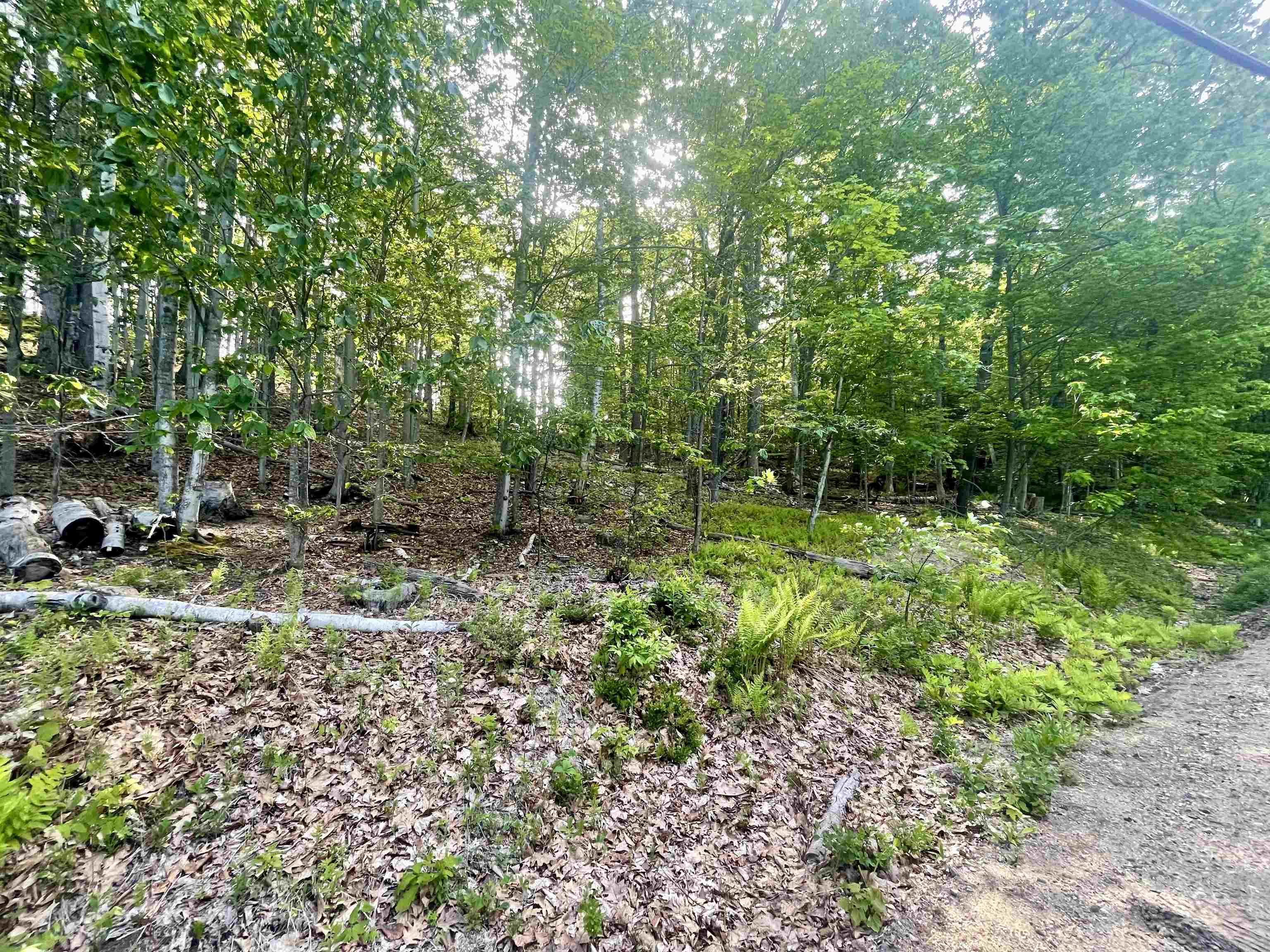 Lot 12 Berry Pond Road, Unit R23LOT 12 Pittsfield, NH 03263 - Photo 6 of 22 Gallery Image 6