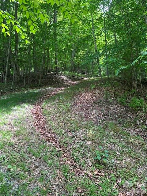 Tbd Mountain Home Road, Unit 2 Banner Elk, NC 28604 - Photo 4 of 10 Gallery Image 4