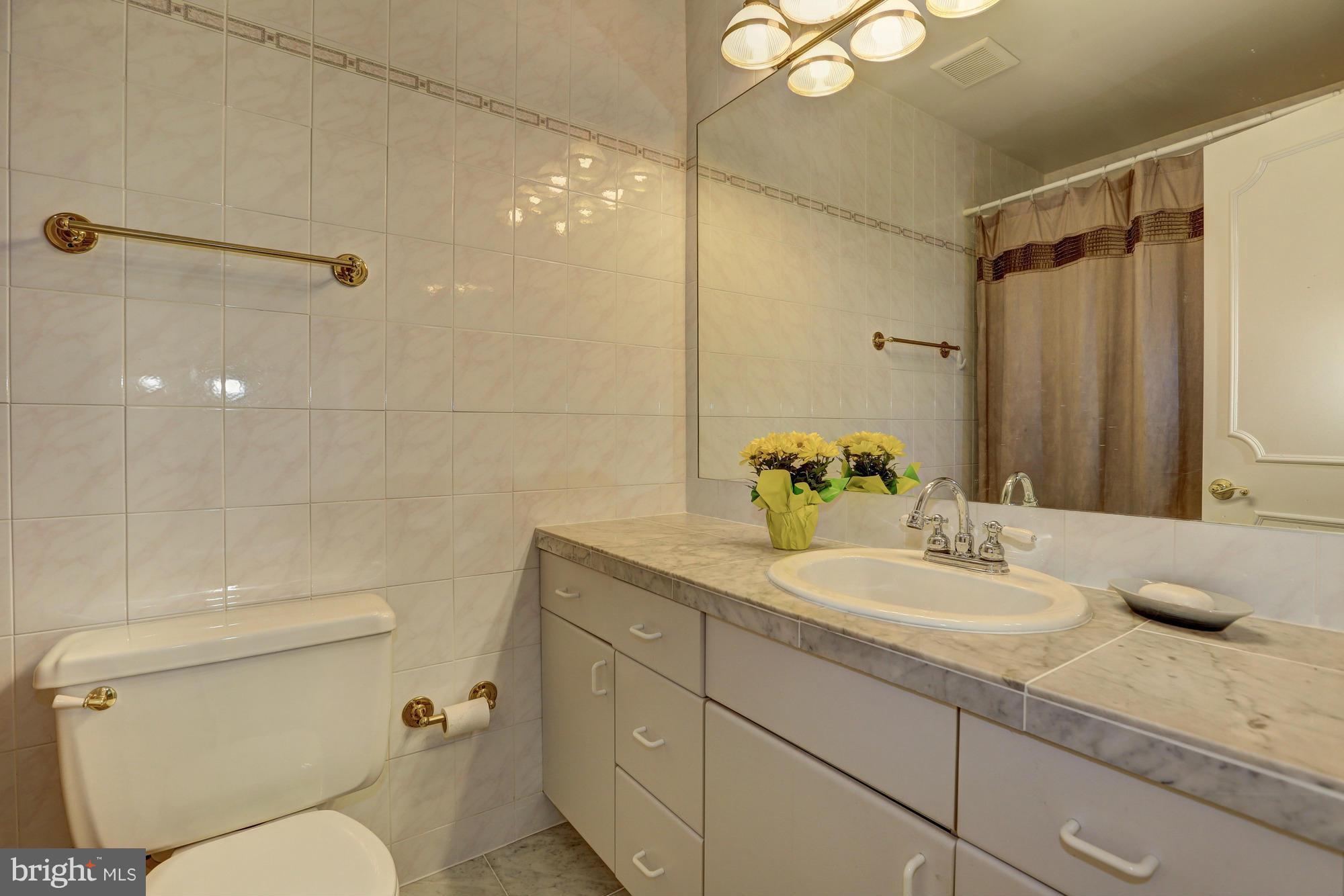 11909 Hunting Ridge Court Potomac, MD 20854 - Photo 22 of 27 Bath