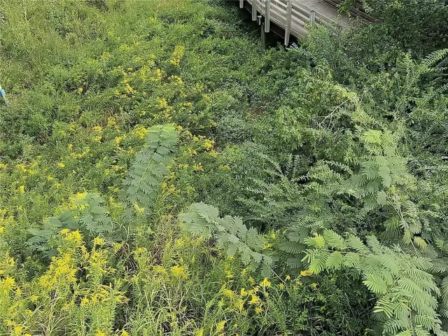 $2,789 | 4249 Tin Hare Lane, Mableton, GA 30126