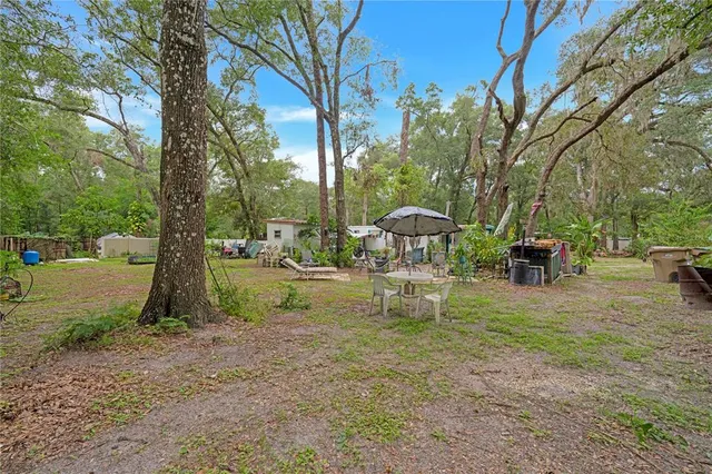 a view of a yard with plants and trees