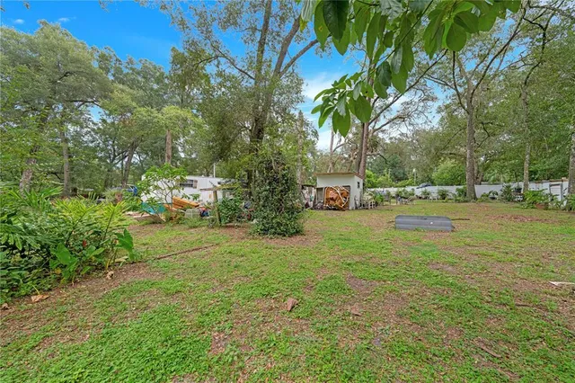 a view of a house with backyard and a tree