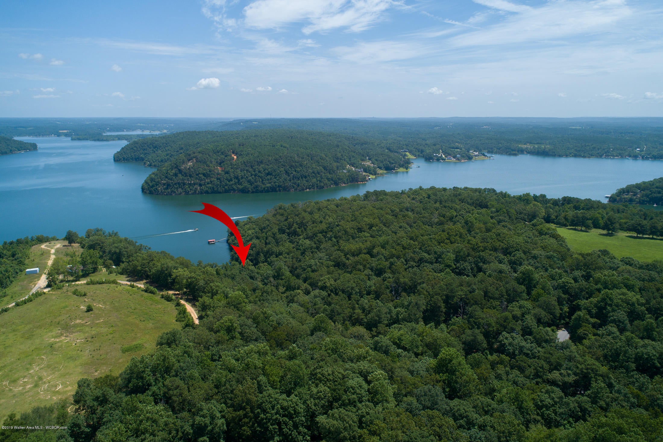1680 Co Road Bremen, AL 35033 - Photo 5 of 22 Gallery Image 5