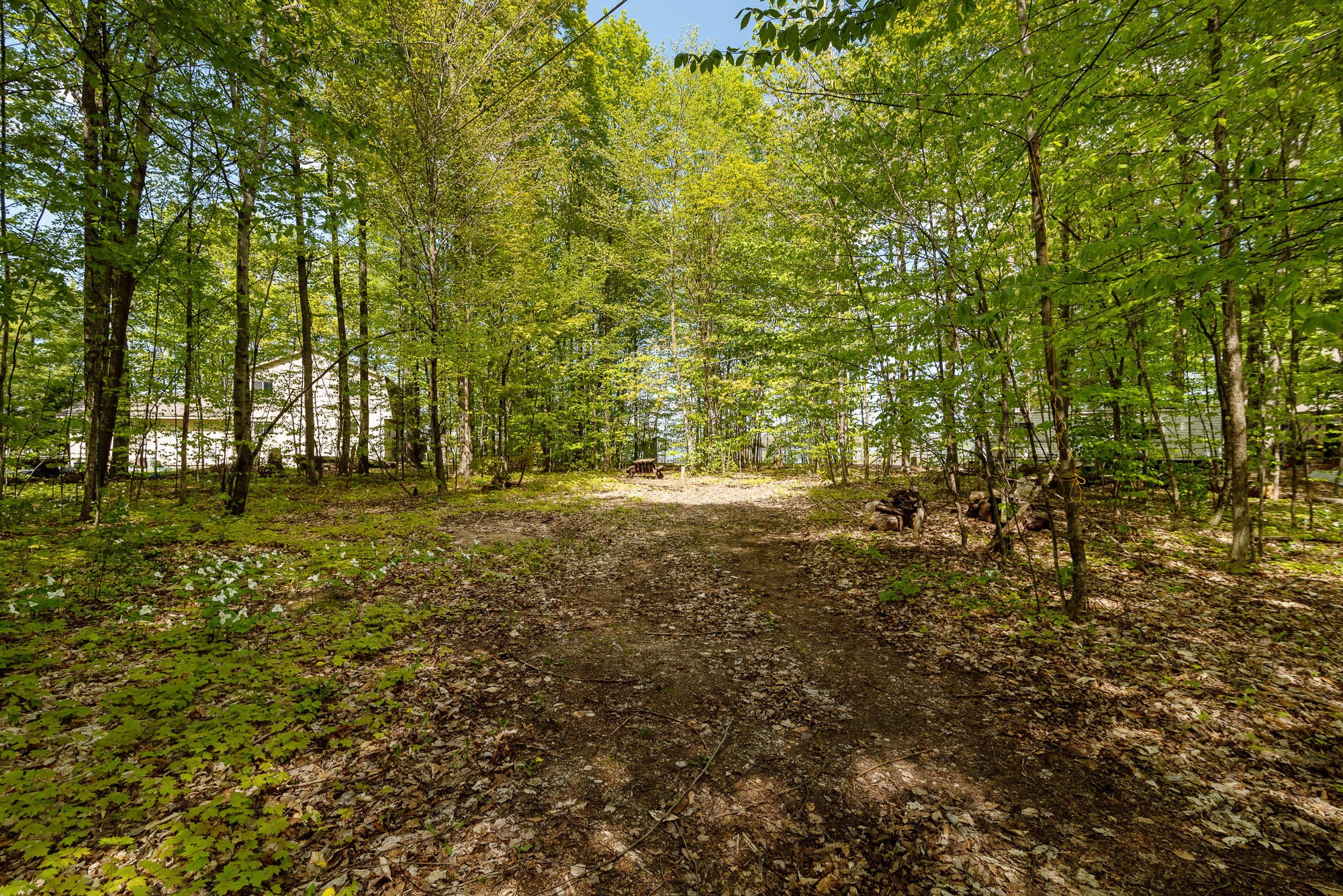 3226 Hidden Ridge Road Alanson, MI 49706 - Photo 13 of 23 Gallery Image 13