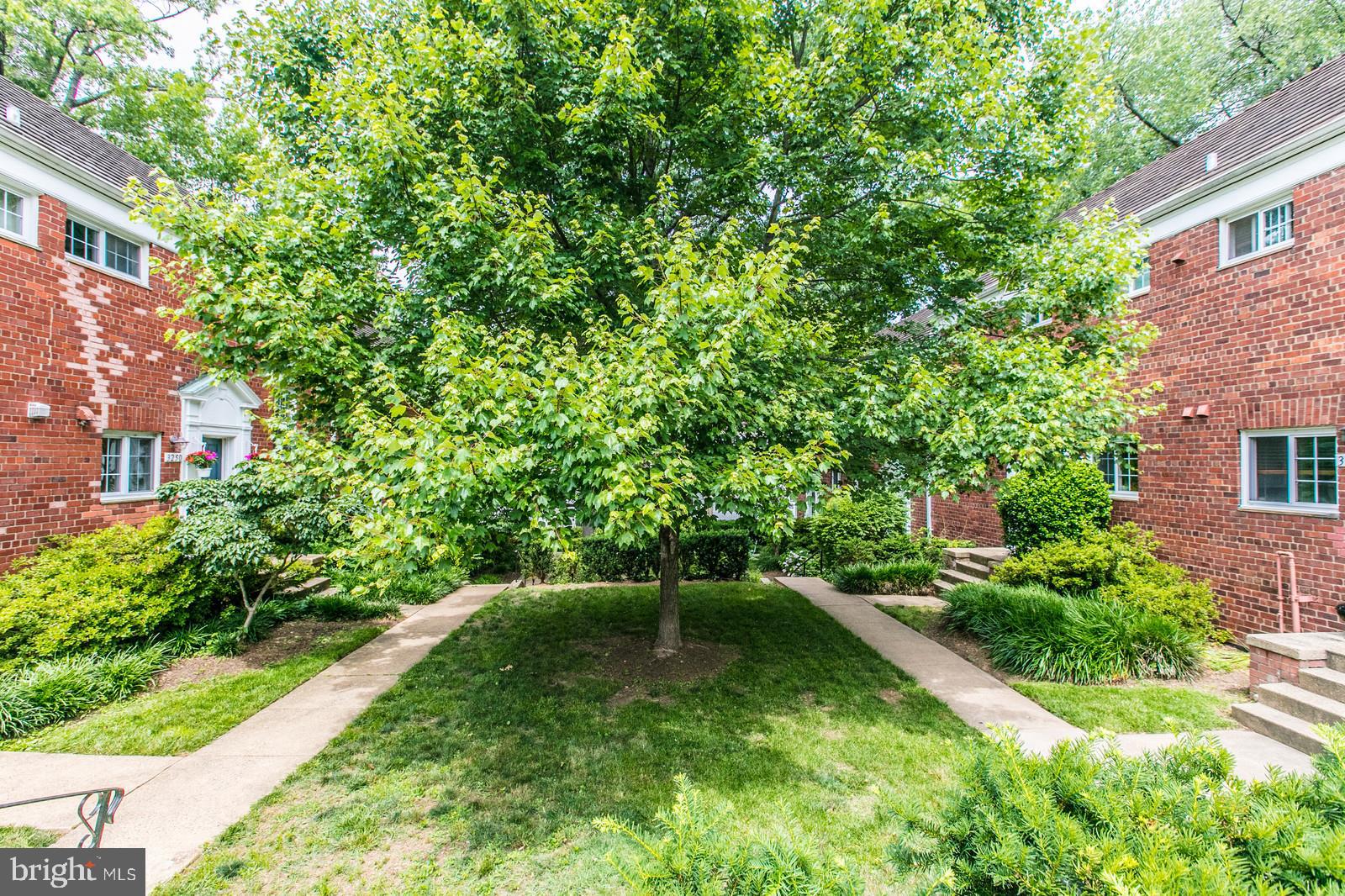 3250 Gunston Road Alexandria, VA 22302 - Photo 4 of 54