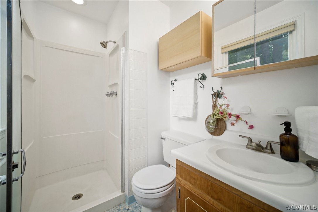 4005 Hidden Valley Road Chester, VA 23831 - Photo 25 of 43 a bathroom with a sink a toilet and shower