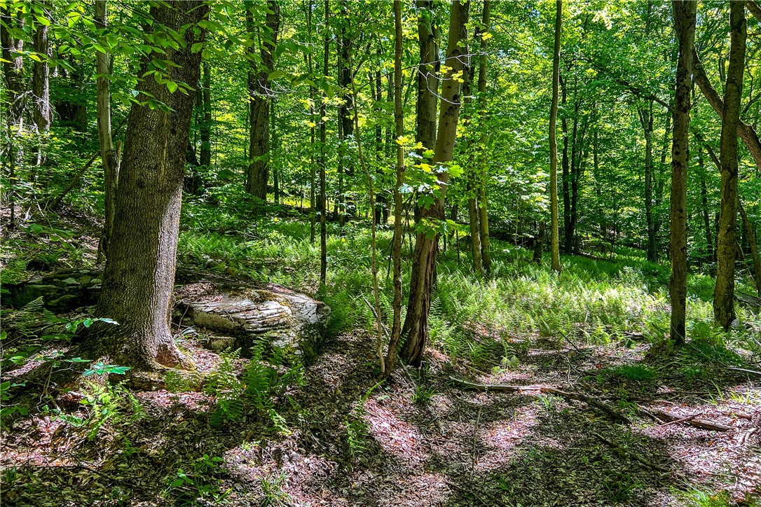 26 Federal Hill Road Delhi, NY 13753 - Photo 21 of 50