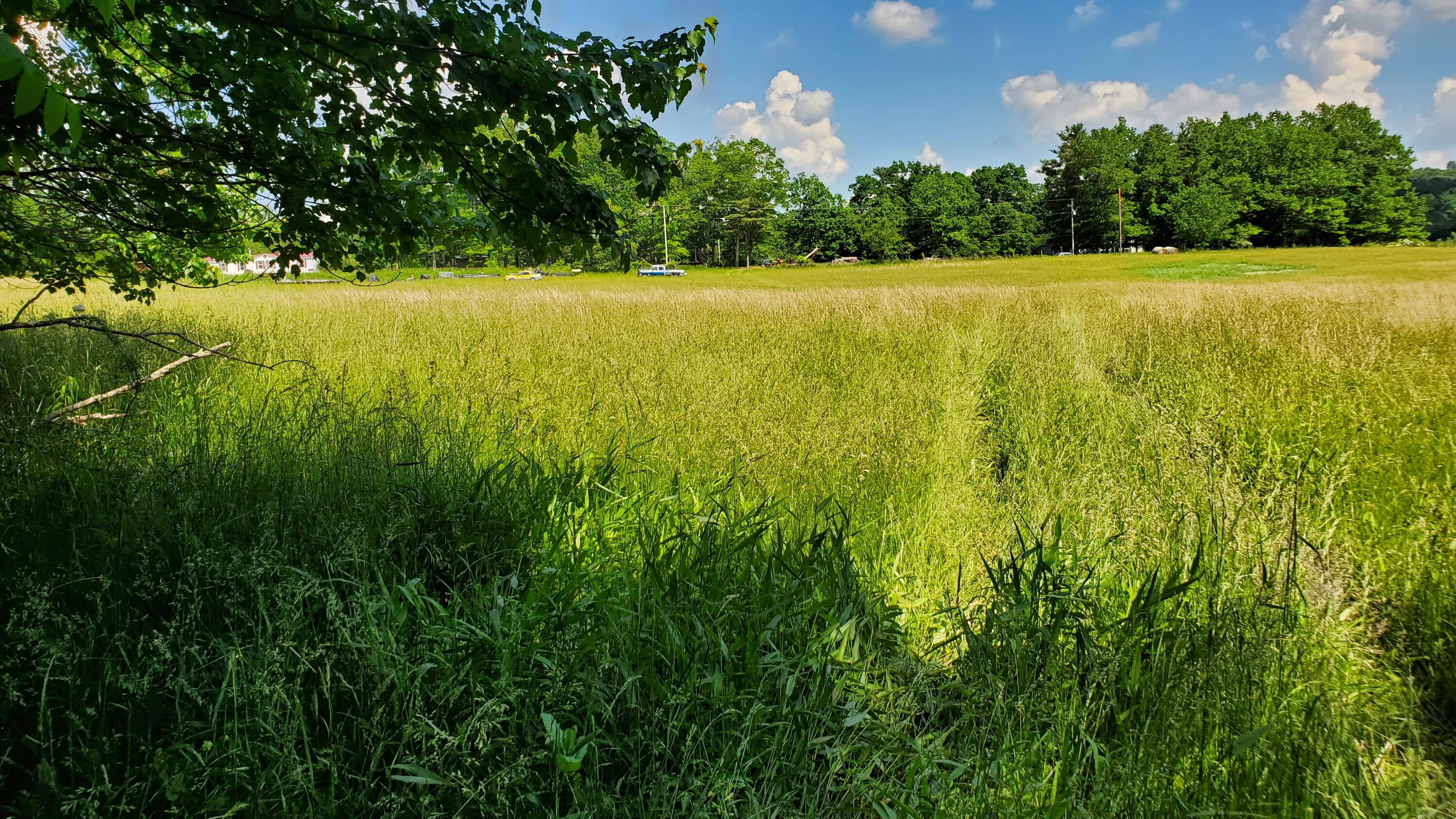 3 Firehouse Road Willis, VA 24380 - Photo 2 of 15 20220530_155649