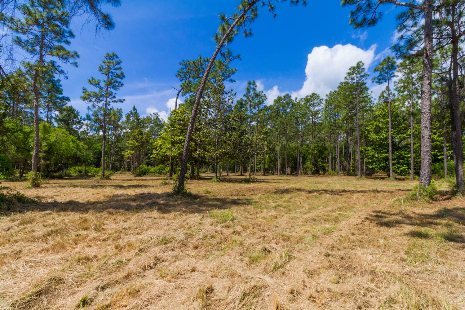 8844 Red Fish Pt Road Lillian, AL 36549 - Photo 2 of 16