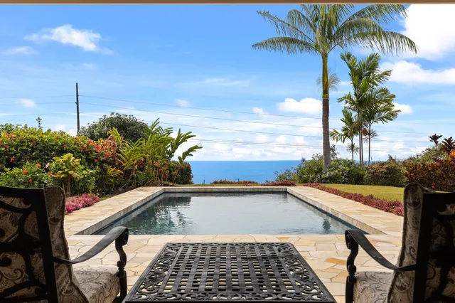 a view of a backyard and a palm tree