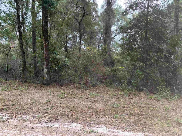 $12,500 | 133 Rochelise Road, Crawfordville, FL 32327