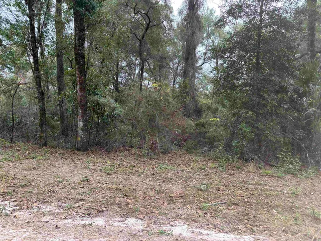 $12,500 | 133 Rochelise Road, Crawfordville, FL 32327