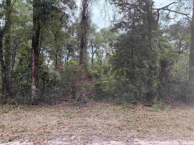 $12,500 | 133 Rochelise Road, Crawfordville, FL 32327