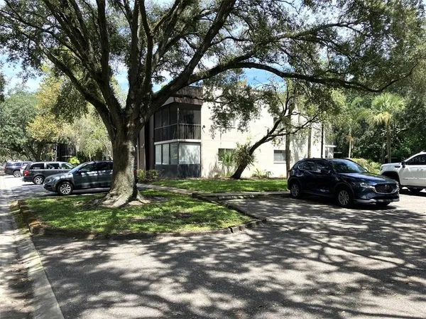a view of a yard with a car parked in it