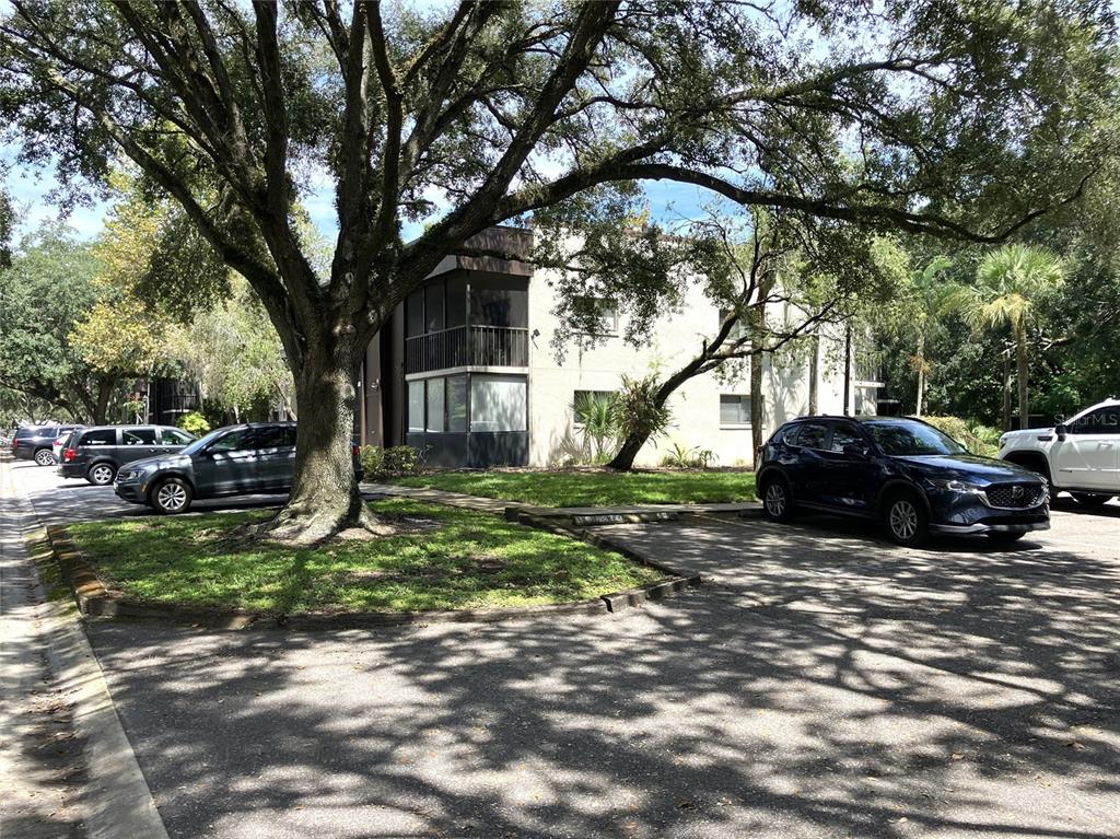 a view of a yard with a car parked in it