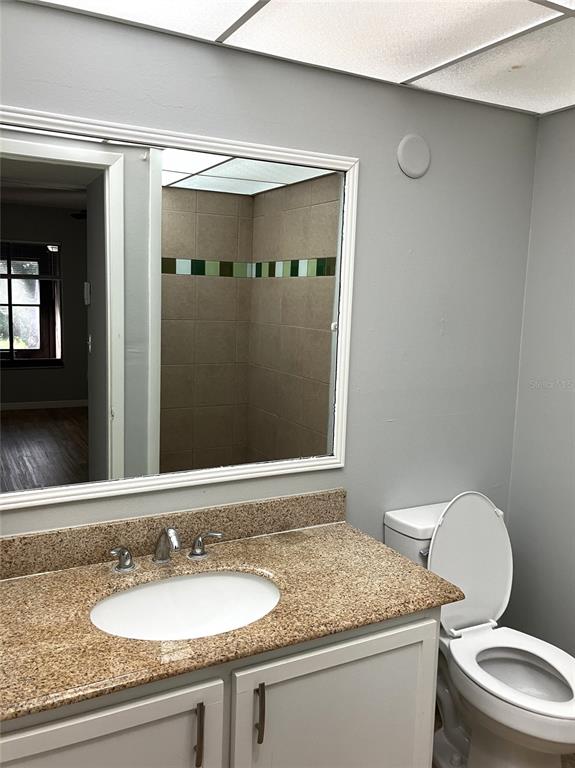 11703 Raintree Village Boulevard, Unit B Temple Terrace, FL 33617 - Photo 33 of 60 a bathroom with a granite countertop sink toilet and mirror