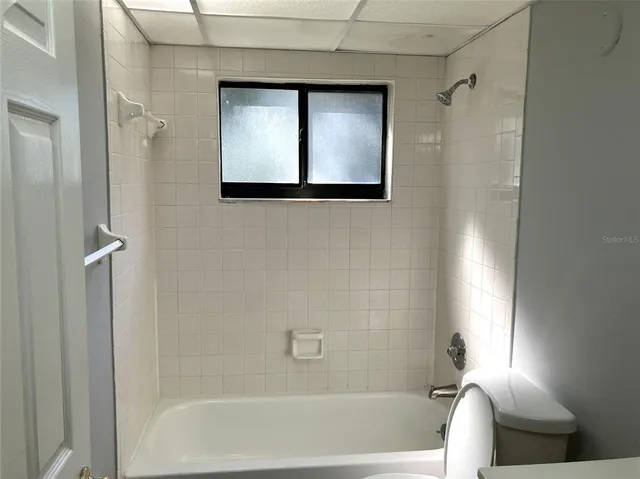 a view of a park with large trees