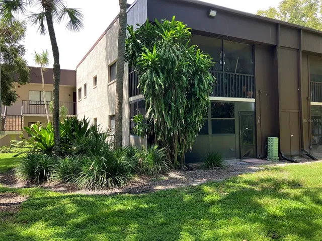 a view of a tree in the middle of a yard