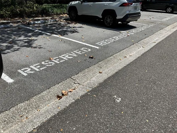 a view of a swimming pool with a bench and trees around