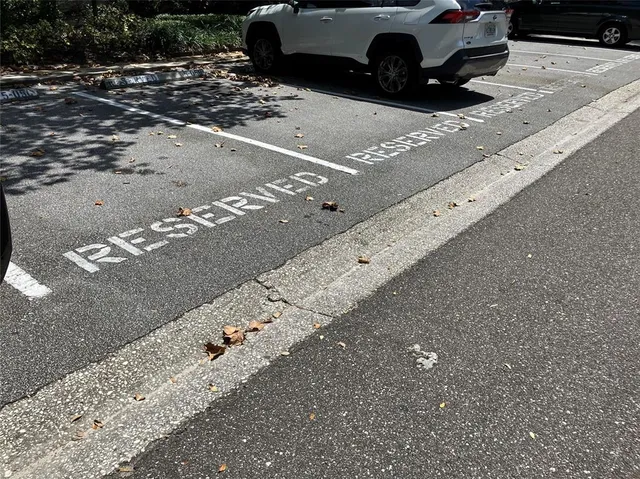 a view of a swimming pool with a bench and trees around