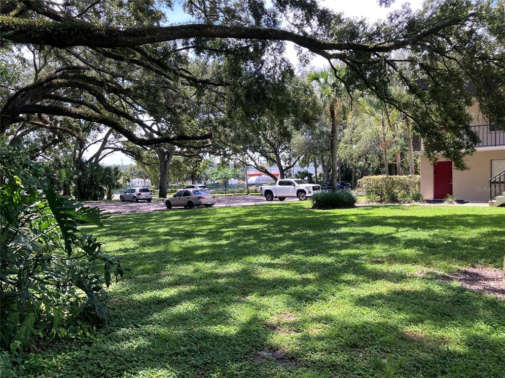 11703 Raintree Village Boulevard, Unit B Temple Terrace, FL 33617 - Photo 51 of 60 a view of a park with large trees