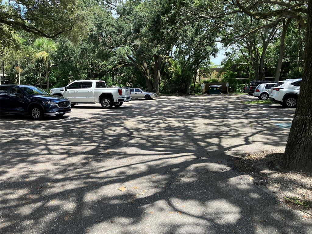 11703 Raintree Village Boulevard, Unit B Temple Terrace, FL 33617 - Photo 52 of 60 a view of car parked on road