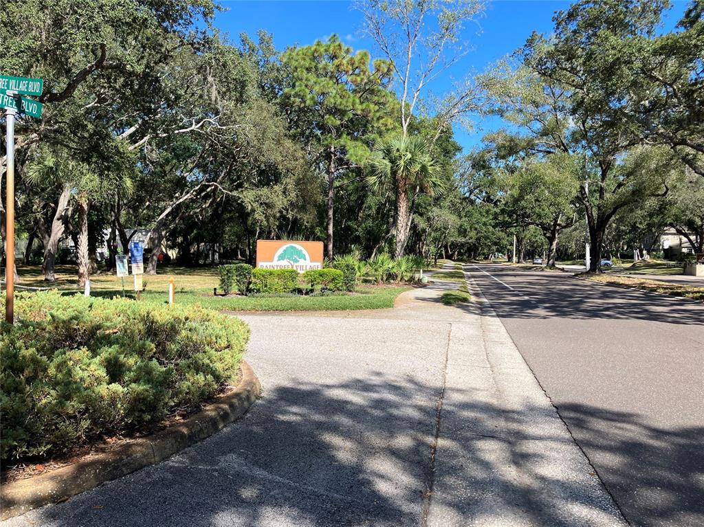 11703 Raintree Village Boulevard, Unit B Temple Terrace, FL 33617 - Photo 53 of 60 a view of a yard with plants