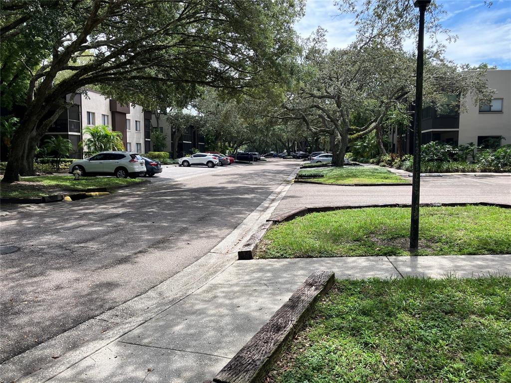 11703 Raintree Village Boulevard, Unit B Temple Terrace, FL 33617 - Photo 54 of 60 a view of a park with tree s