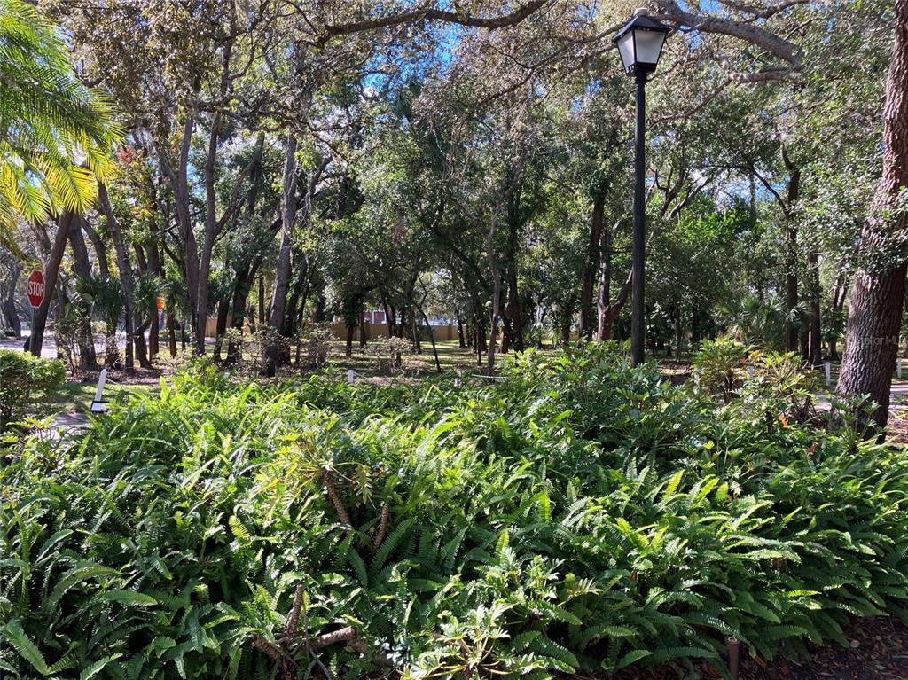 11703 Raintree Village Boulevard, Unit B Temple Terrace, FL 33617 - Photo 56 of 60 a view of outdoor space with a yard