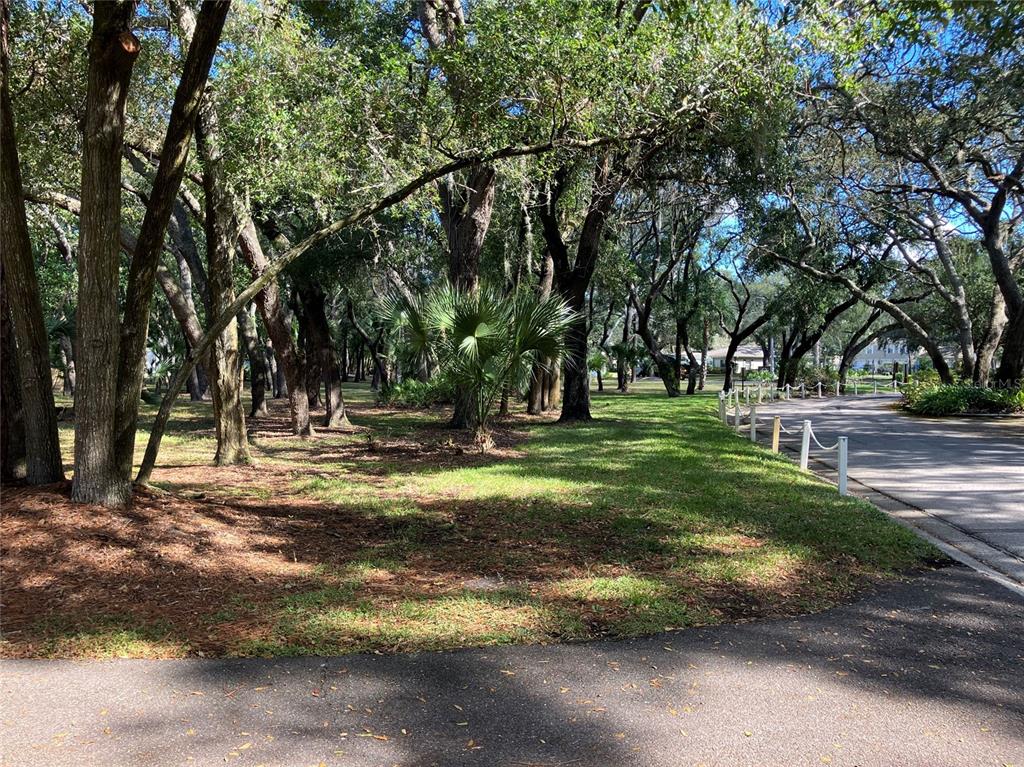 11703 Raintree Village Boulevard, Unit B Temple Terrace, FL 33617 - Photo 57 of 60 a view of a tree in the middle of a yard