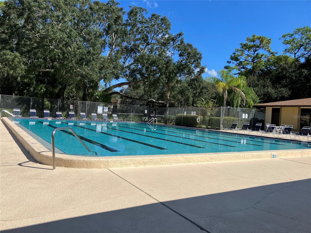 11703 Raintree Village Boulevard, Unit B Temple Terrace, FL 33617 - Photo 58 of 60 a view of a swimming pool with a bench and trees around