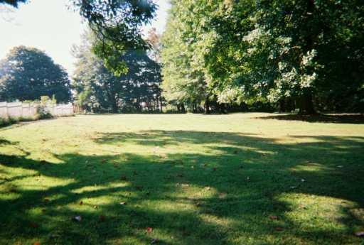 Yard/Garden. 
