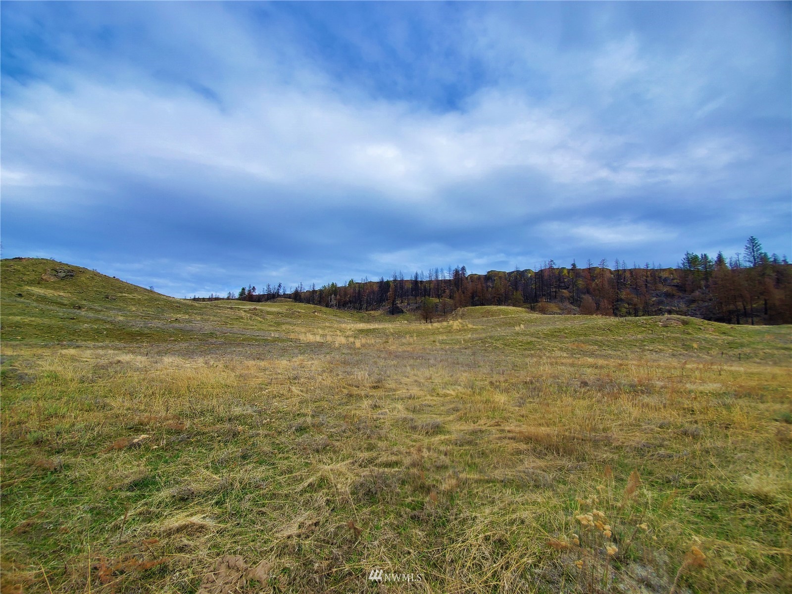 -tbd Cameron Lake Road Okanogan, WA 98840 - Photo 1 of 20 Gallery Image 1