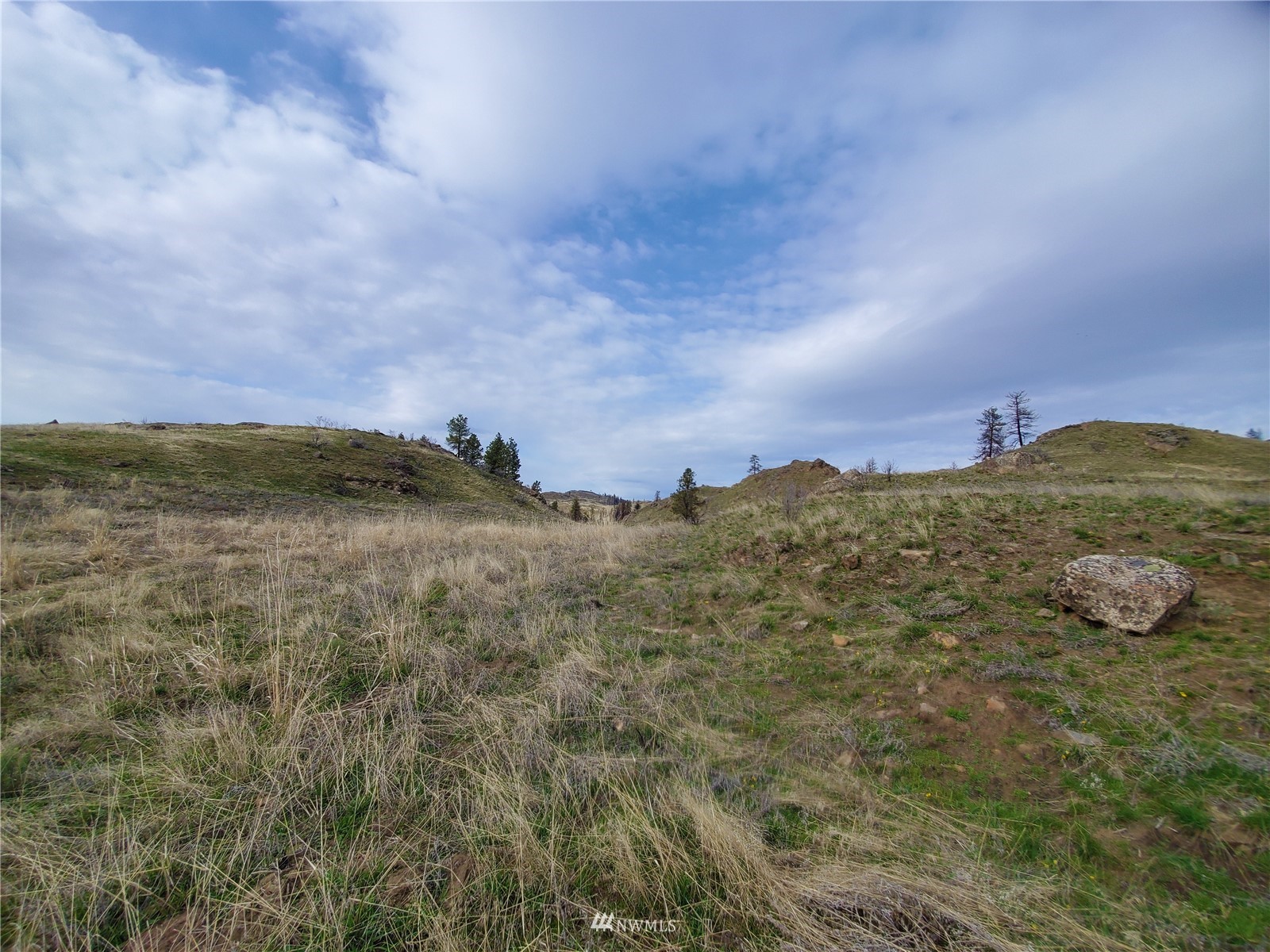 -tbd Cameron Lake Road Okanogan, WA 98840 - Photo 11 of 20 Gallery Image 11