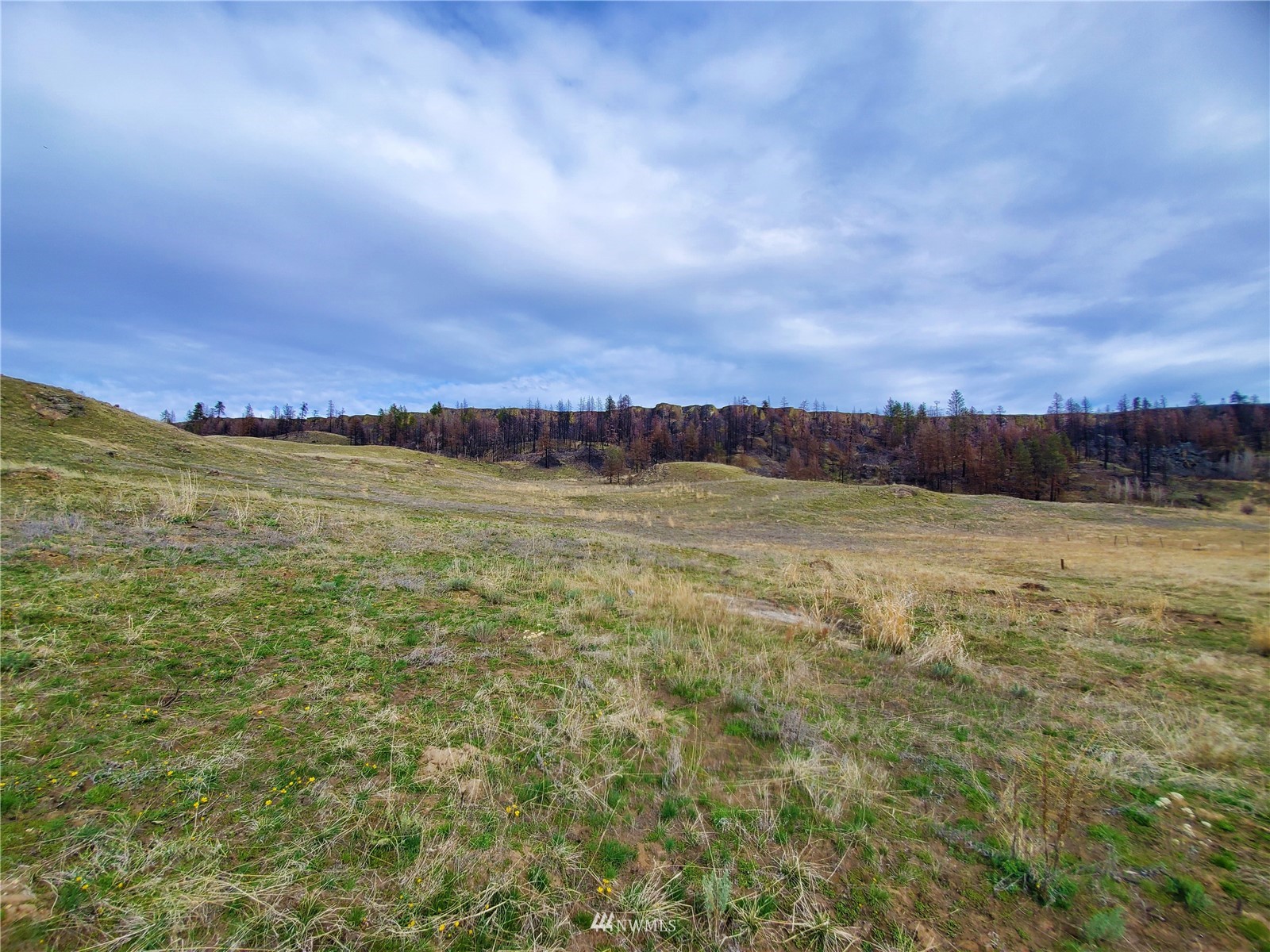 -tbd Cameron Lake Road Okanogan, WA 98840 - Photo 12 of 20 Gallery Image 12