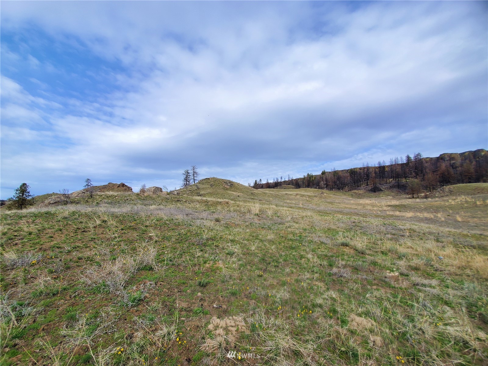 -tbd Cameron Lake Road Okanogan, WA 98840 - Photo 13 of 20 Gallery Image 13