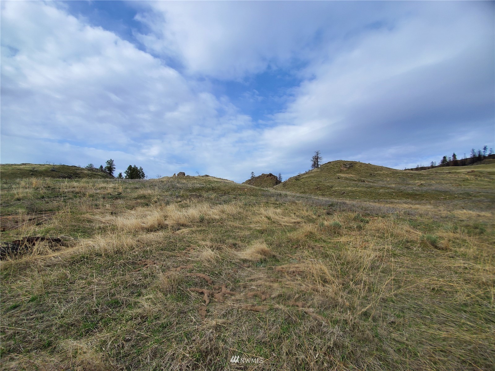 -tbd Cameron Lake Road Okanogan, WA 98840 - Photo 14 of 20 Gallery Image 14