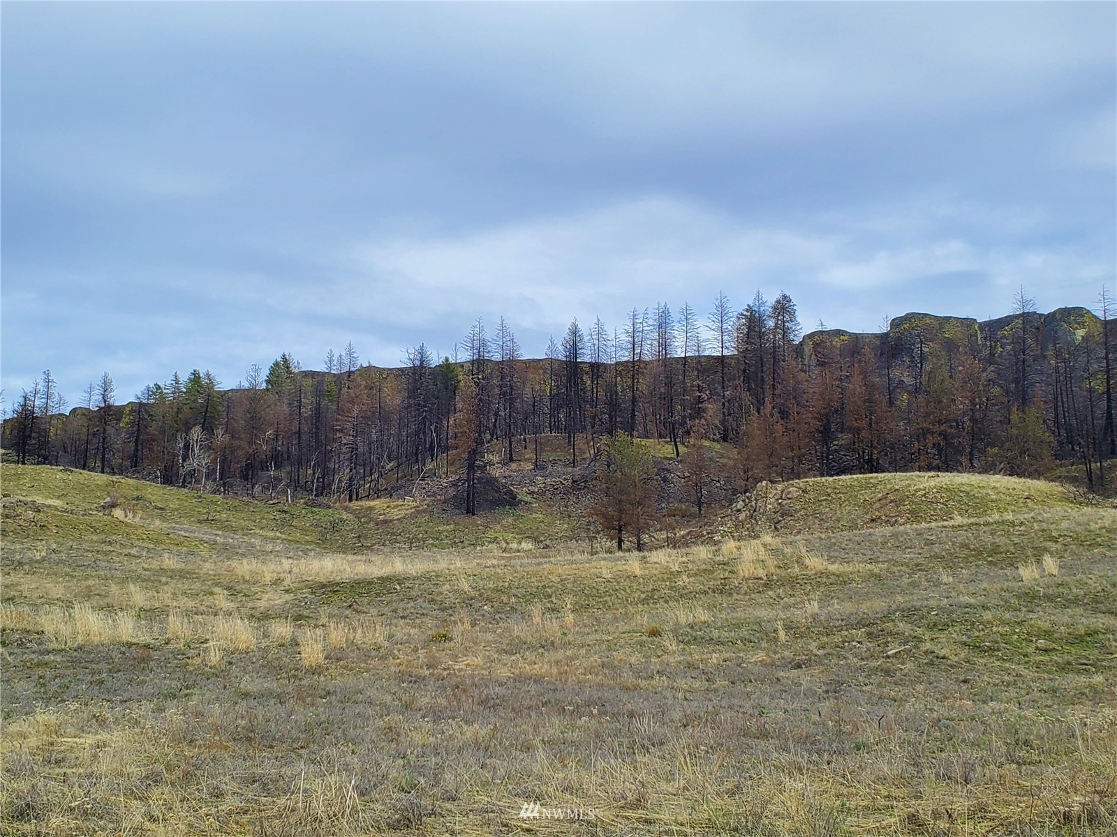 -tbd Cameron Lake Road Okanogan, WA 98840 - Photo 16 of 20 Gallery Image 16