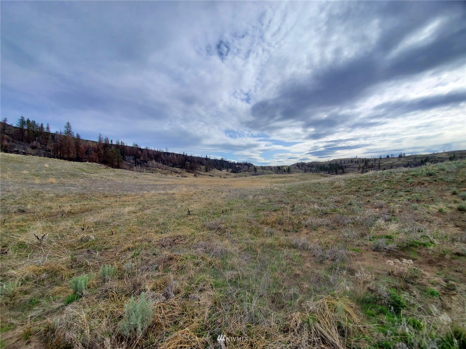 -tbd Cameron Lake Road Okanogan, WA 98840 - Photo 17 of 20 Gallery Image 17