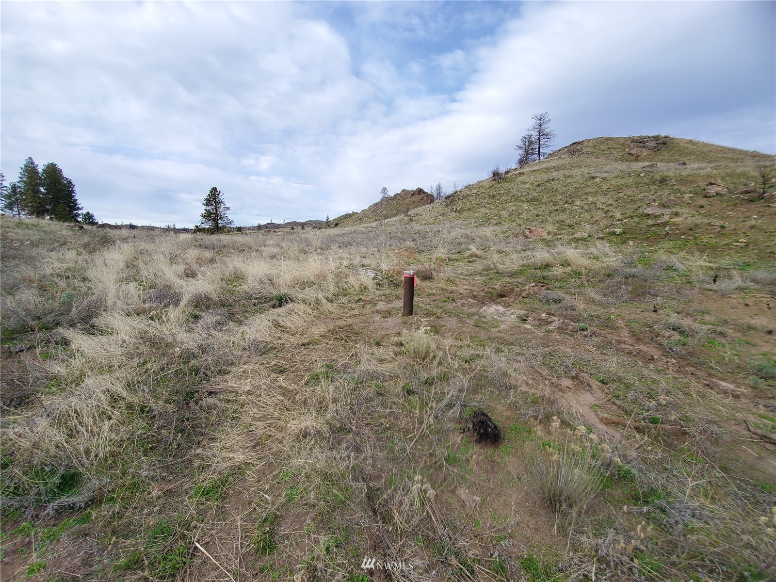-tbd Cameron Lake Road Okanogan, WA 98840 - Photo 19 of 20 Gallery Image 19
