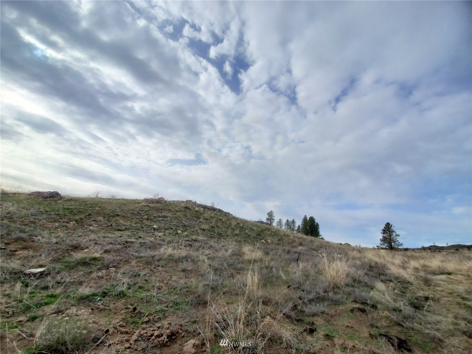 -tbd Cameron Lake Road Okanogan, WA 98840 - Photo 20 of 20 Gallery Image 20