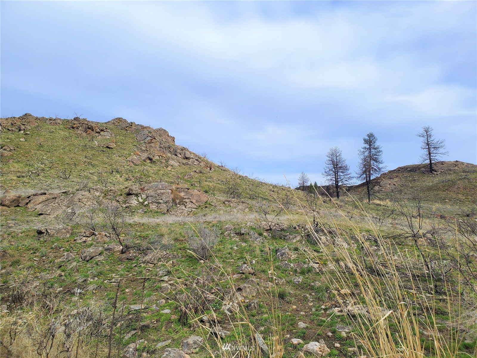 -tbd Cameron Lake Road Okanogan, WA 98840 - Photo 2 of 20 Gallery Image 2