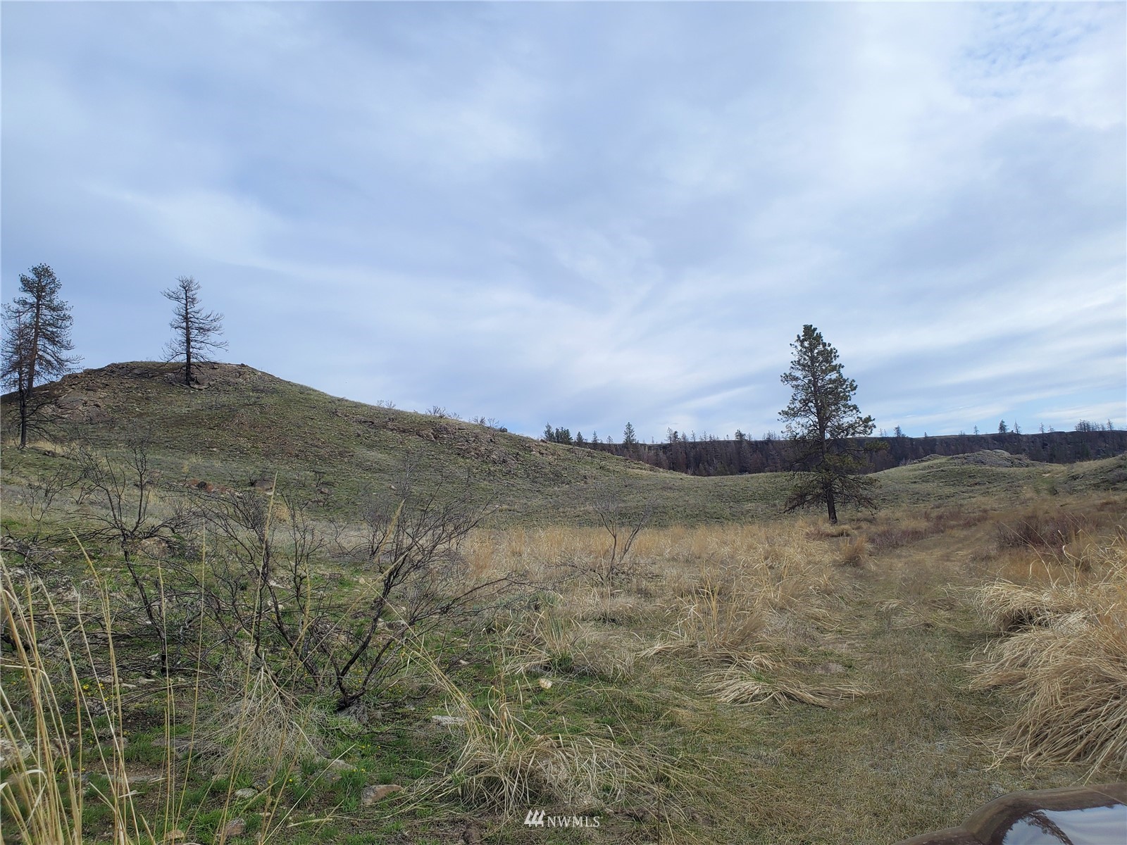 -tbd Cameron Lake Road Okanogan, WA 98840 - Photo 3 of 20 Gallery Image 3