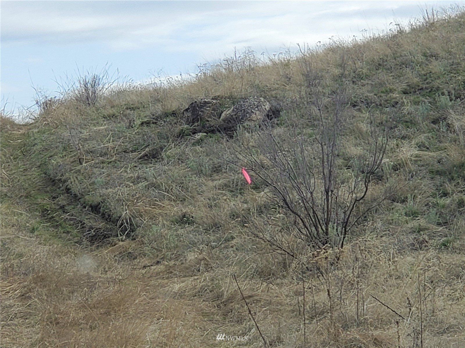 -tbd Cameron Lake Road Okanogan, WA 98840 - Photo 4 of 20 Gallery Image 4