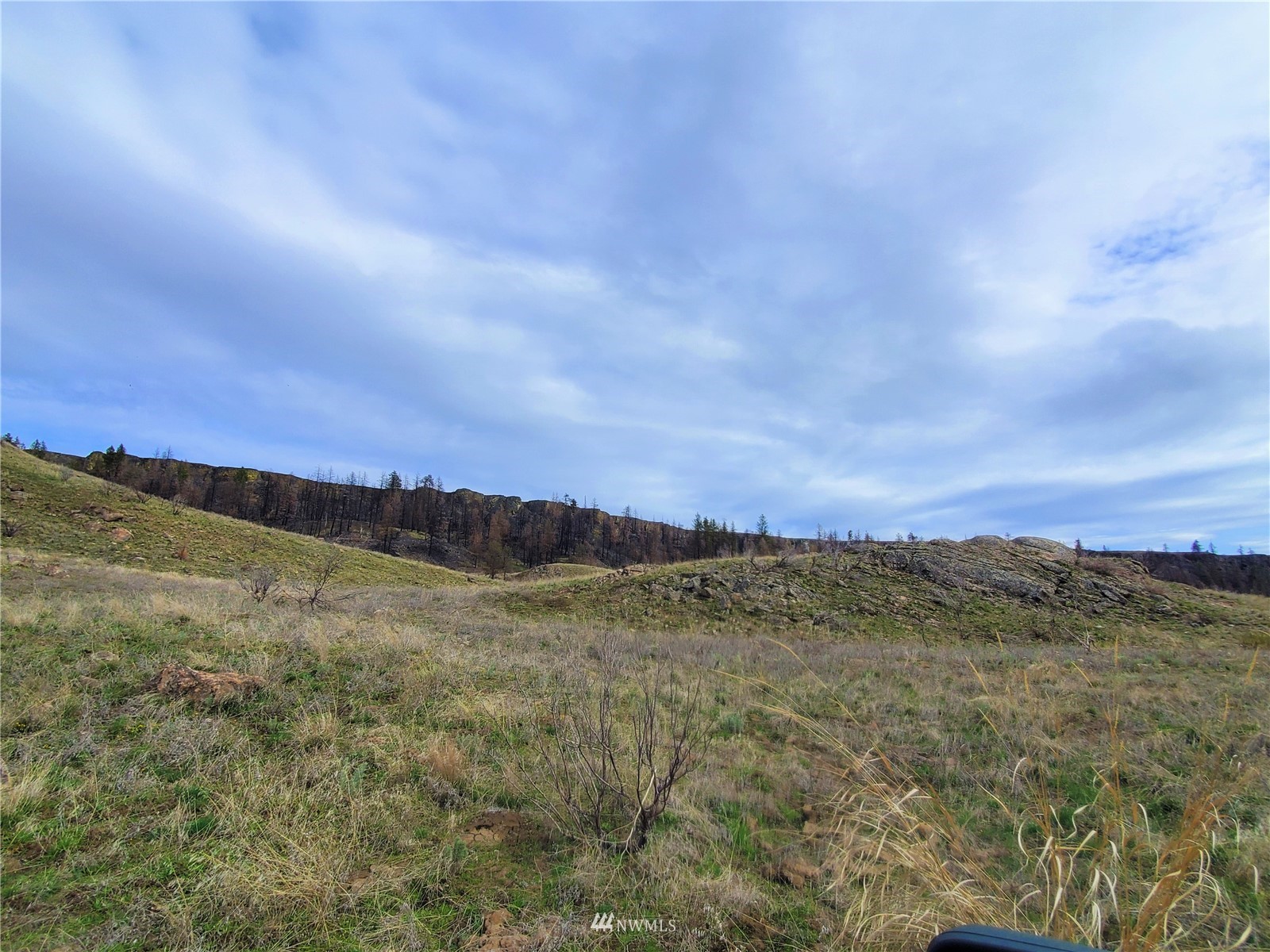 -tbd Cameron Lake Road Okanogan, WA 98840 - Photo 5 of 20 Gallery Image 5