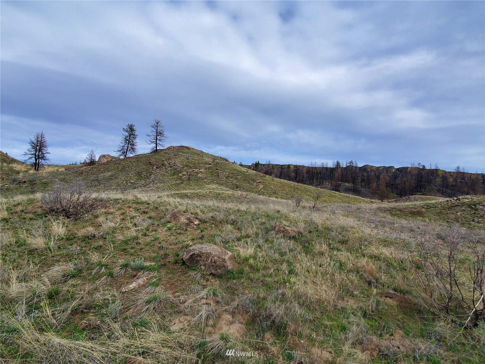 -tbd Cameron Lake Road Okanogan, WA 98840 - Photo 6 of 20 Gallery Image 6