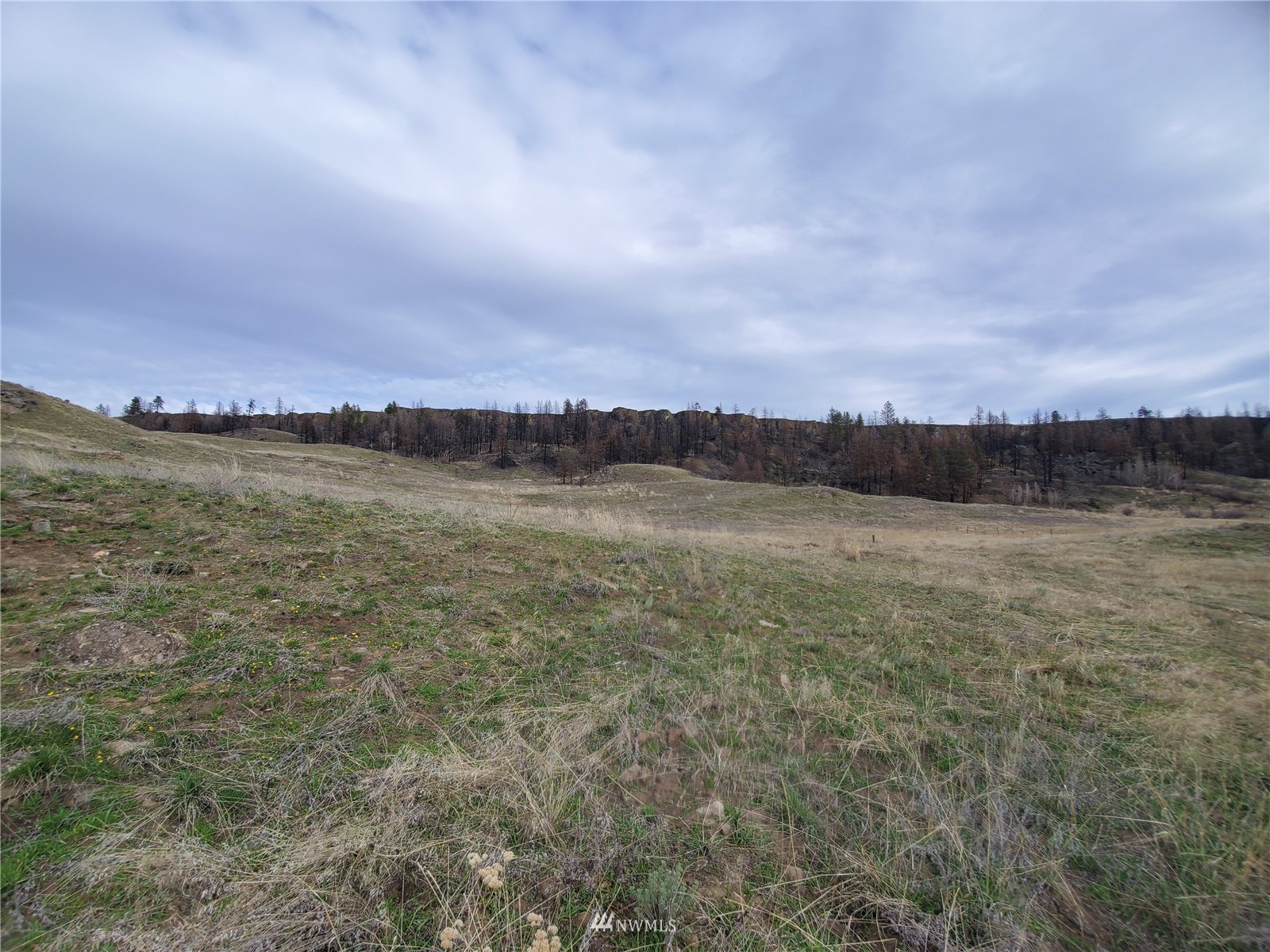 -tbd Cameron Lake Road Okanogan, WA 98840 - Photo 8 of 20 Gallery Image 8