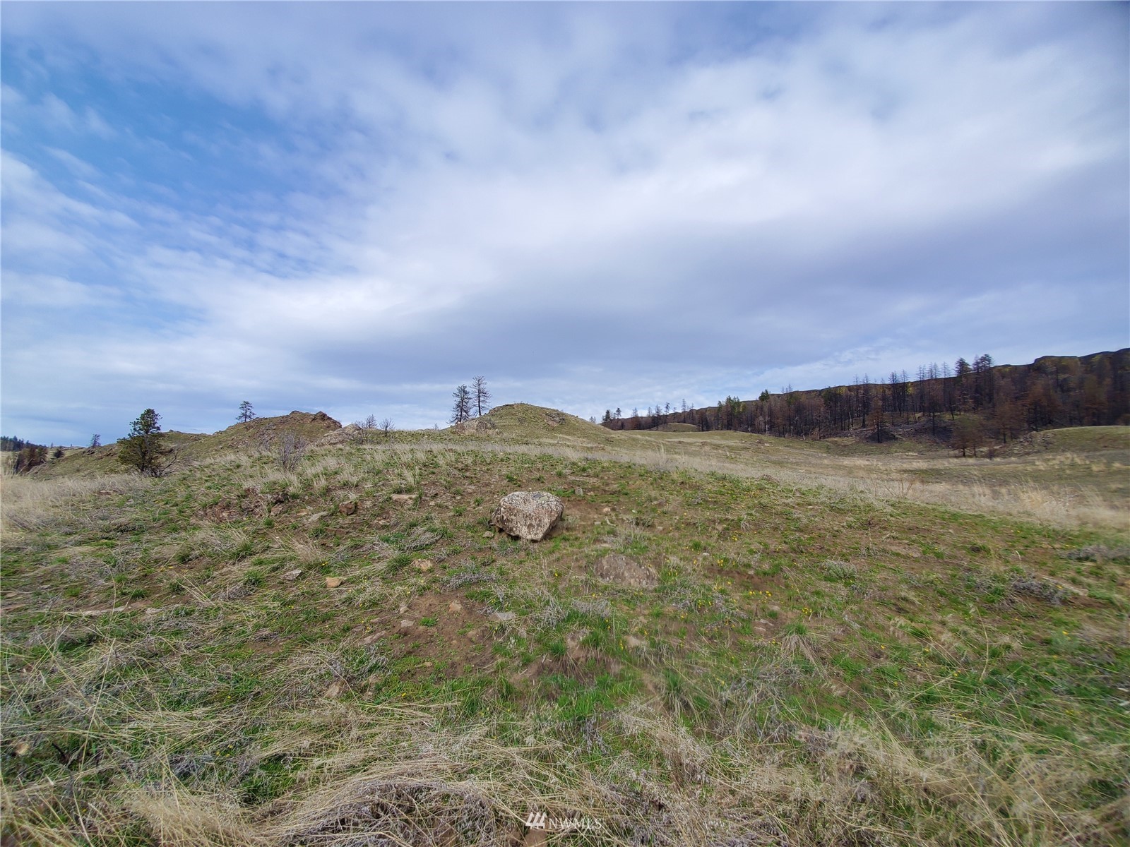 -tbd Cameron Lake Road Okanogan, WA 98840 - Photo 9 of 20 Gallery Image 9