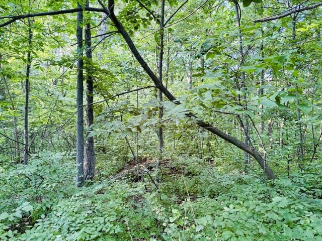 Lot 9 Mount Hope Brodhead, WI 53520 - Photo 9 of 14